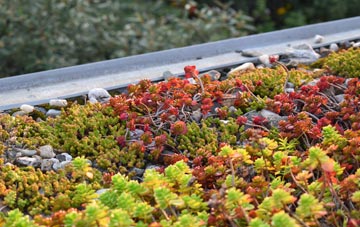 the cost of Little Chishill green roof installation