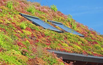 Little Chishill living roof systems
