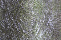 Little Chishill fibreglass roof work